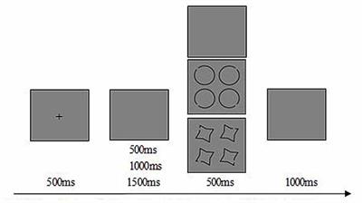 “Neural Efficiency” of Athletes’ Brain during Visuo-Spatial Task: An fMRI Study on Table Tennis Players